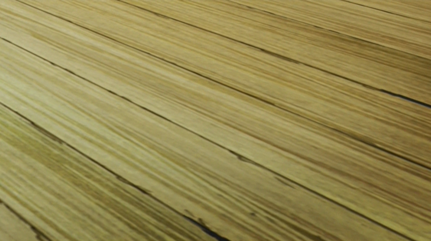 Mermad Forest (Fansubber)